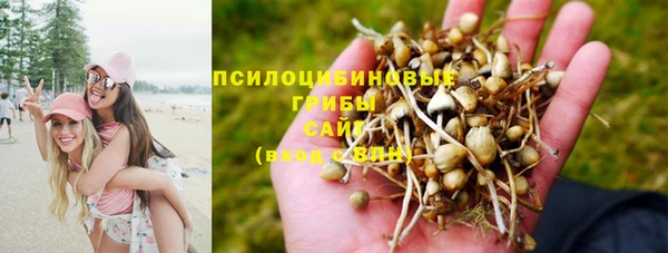 амф Покров