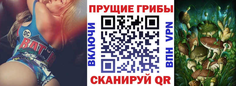 Псилоцибиновые грибы мухоморы  Нерчинск 